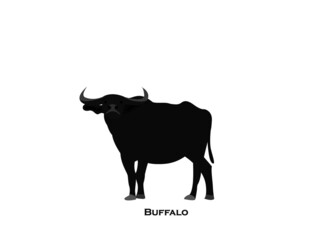 vector isolated buffalo with gray color design illustration 