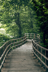 Obraz premium wooden bridge in the forest