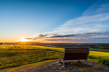 bench in the morning