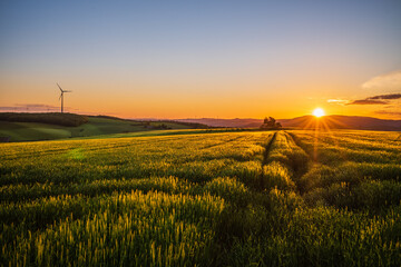 sunrise over palatinate, grain field at sunrise