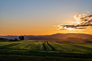 Obraz premium sunrise over the field