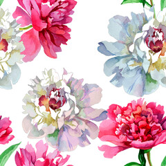 Pink and white peonies watercolor on white background seamless pattern for all prints. Hand painted.