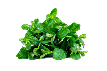 Fresh mint leaves bundle. Green mint bunch isolated on white background. Part of set.