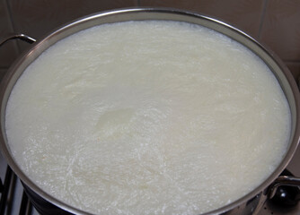 To make yogurt, we first boil the milk. selective focus milk surface.