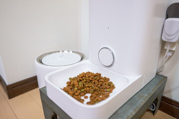 猫エサ