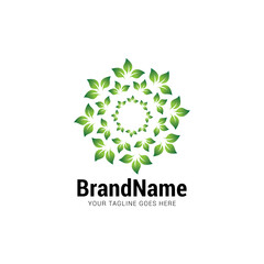Leaf logo icon vector template.