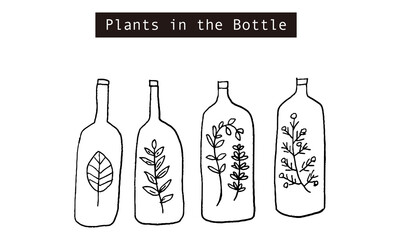 手描き　ボトルに入った植物のイラストセット