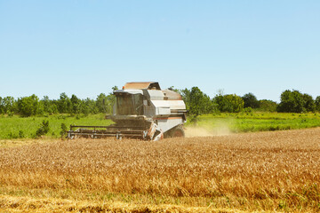 Combine harvester in action on wheat field. Process of gathering a ripe crop.