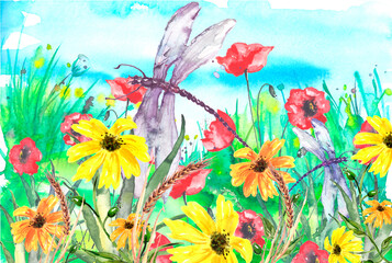 Watercolor landscape with the image of wild grasses, flowers, green plants, Red poppy, calendula, fields. Against the background of the blue sky. A dragonfly flies, a moth above the wildflowers.Pollen