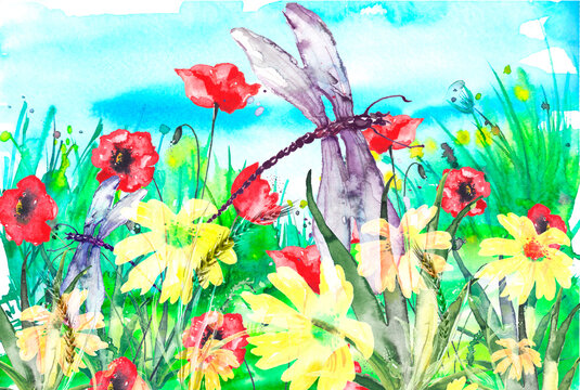 Watercolor landscape with the image of wild grasses, flowers, green plants, Red poppy, calendula, fields. Against the background of the blue sky. A dragonfly flies, a moth above the wildflowers.Pollen