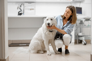 Woman with big white dog waiting for the veterinarian in veterinary clinic. Pet care concept