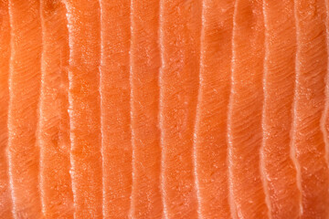 Close up of raw salmon fillet. Fish Texture.