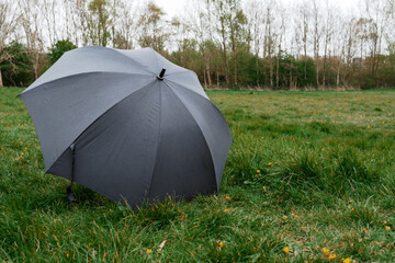 Black opened umbrella on a grass in a park covered with water droplets. Rain season concept.