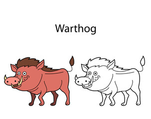 Funny cute animal warthog isolated on white background. Linear, contour, black and white and colored version. Illustration can be used for coloring book and pictures for children
