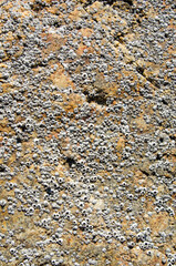 Seamless rock texture background closeup
