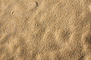 Image of the surface of the sand after rain has porous rain marks
