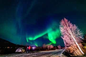 wundervolle Nordlichter in Troms in den Lyngenalps. begeisterndes Lichtspiel am nächtlichen Himmel, jubelnde Menschen. Aurora Borealis bei Tromsö