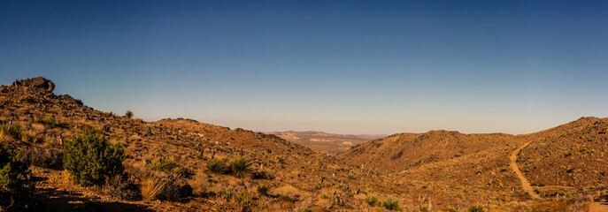 Panorama shot of desert hills and dusty path in joshua tree national park in california, amerika