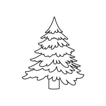 Pine tree line icon vector