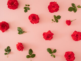 gardening pattern made with fresh red roses and green leaves on the pastel pink background. modern abstract art. creative decoration flat lay idea 