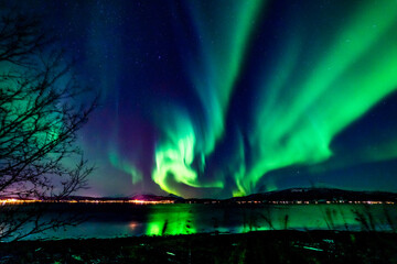 wundervolle Nordlichter in Troms in den Lyngenalps. begeisterndes Lichtspiel am nächtlichen Himmel, tanzende Lady, überwältigende Aurora Borealis bei Tromsö