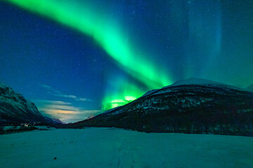 wundervolle Nordlichter in Troms in den Lyngenalps. begeisterndes Lichtspiel am nächtlichen Himmel, tanzende Lady, überwältigende Aurora Borealis bei Tromsö