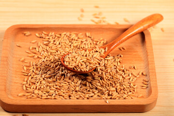A close-up shot of oats