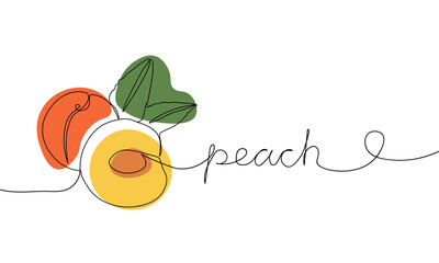 Continuous one line drawing peach. Vector illustration. Black line art on white background with colorful spots. Cartoon peach isolated on white background.  Vegan concept