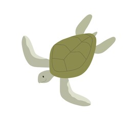 Green aquatic turtle with shell. Undersea tortoise with carapace isolated on white background. Amphibian underwater animal. Colored flat vector illustration of sea terrapin
