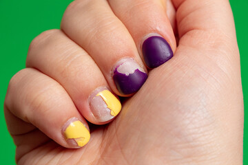 Damaged nail polish of purple and yellow color on the nails of the hand. Green background with space for text. Close-up. Selective focus.