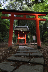 Nara, Japan, May 13, 2021, an old, small shrine in the forest.