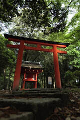 Nara, Japan, May 13, 2021, an old, small shrine in the forest.