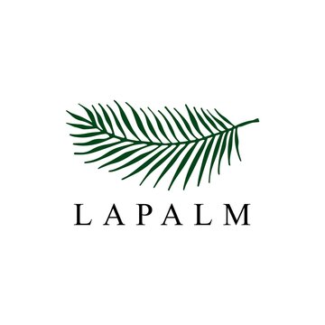 palm leaf logo vector icon illustration