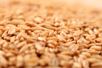 A close-up shot of oats