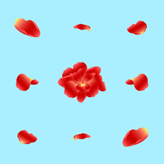 piece of scarlet rose petals.
