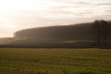 Naklejka premium sunrise over the field