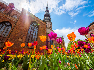 church with flowers in spring - obrazy, fototapety, plakaty