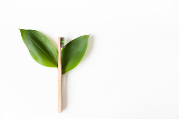 Wooden bamboo dental brush with two green leaves looks like a flower on a white background. Minimalistic composition. Eco-friendly toothbrush, zero waste, copy space, top view.