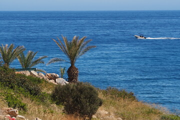Palma na brzegu i motorówka w morzu, Kreta, Grecja - obrazy, fototapety, plakaty