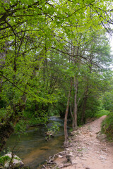 Camino de senderismo