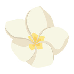 Flat Style White and Yellow Plumeria Flower Isolated Vector Illustration. Exotic blossom icon. Frangipani tropical flower template for logo, cosmetics, spa, beauty care products, prints, stickers