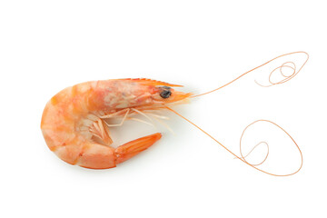 Tasty cooked shrimp isolated on white background