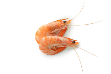 Tasty cooked shrimps isolated on white background