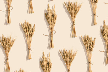 Bunch of ripe wheat ears close up  on beige background. Creative autumn harvest of grain crops
