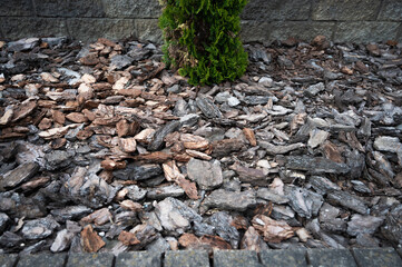 pieces of pine bark, decorative lawn covering, element of landscape design