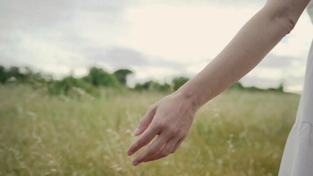Romantic vintage style slow motion shot of a dreaming woman's hand in selective focus grazing rows of yellow grass in a field at sunset or sunrise. Concept of love life and nature