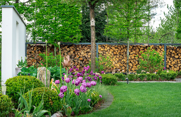 Piękny ogród w  nowoczesnej formie z tulipanową rabatą na tle ozdobnej ściany z drewna