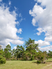 landscape scenery south Germany