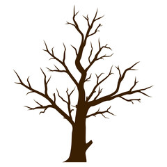 isolated tree without leaves on white background