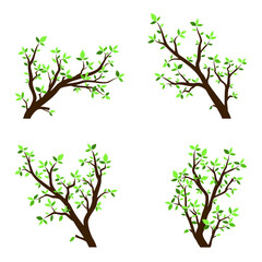 vector set of isolated branch tree with green leaves